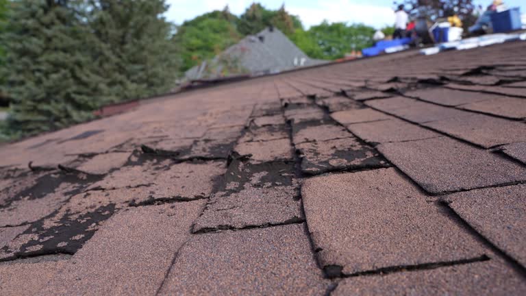 Best Rubber Roofing (EPDM, TPO)  in Mayfield, OH